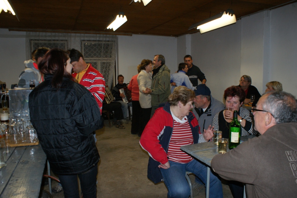 Posezeni s harmonikari 12.5.2012 (4)