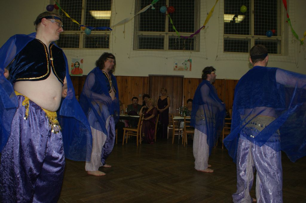 XX. ples SDH, 2.2.2013 (14)