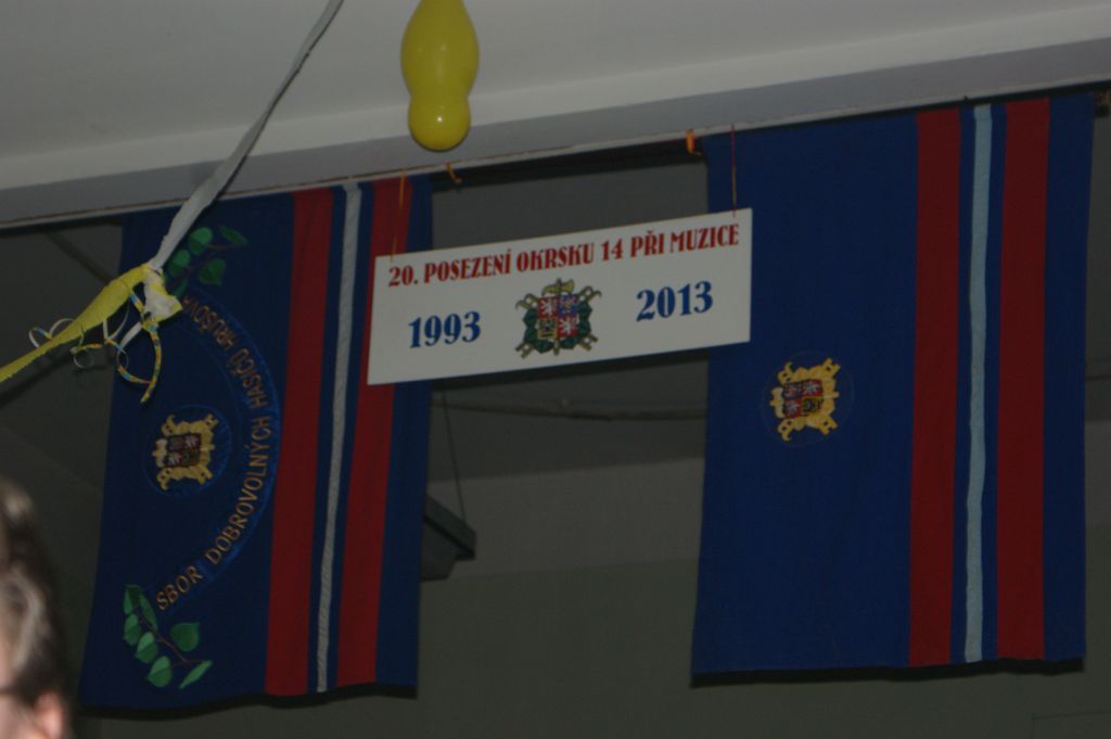 XX. ples SDH, 2.2.2013 (16)