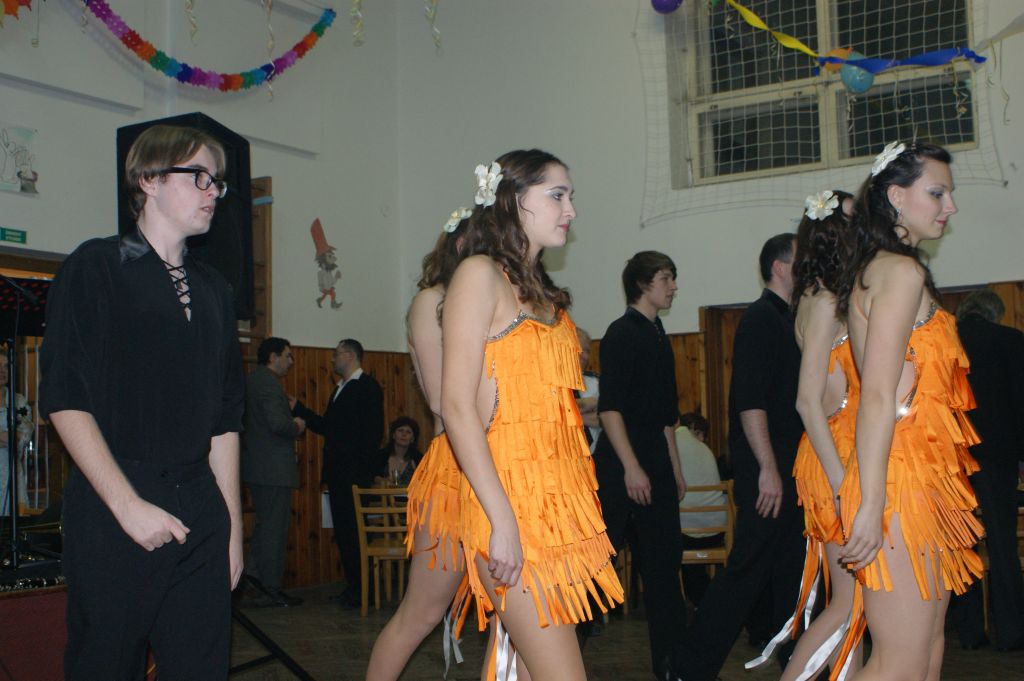 XX. ples SDH, 2.2.2013 (17)