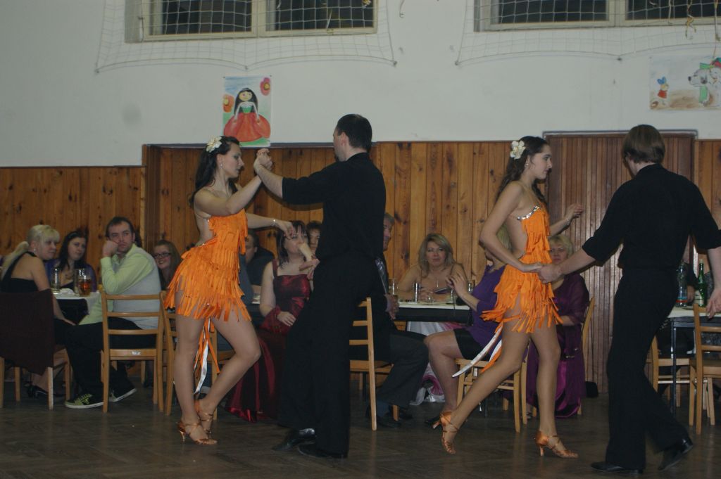 XX. ples SDH, 2.2.2013 (18)