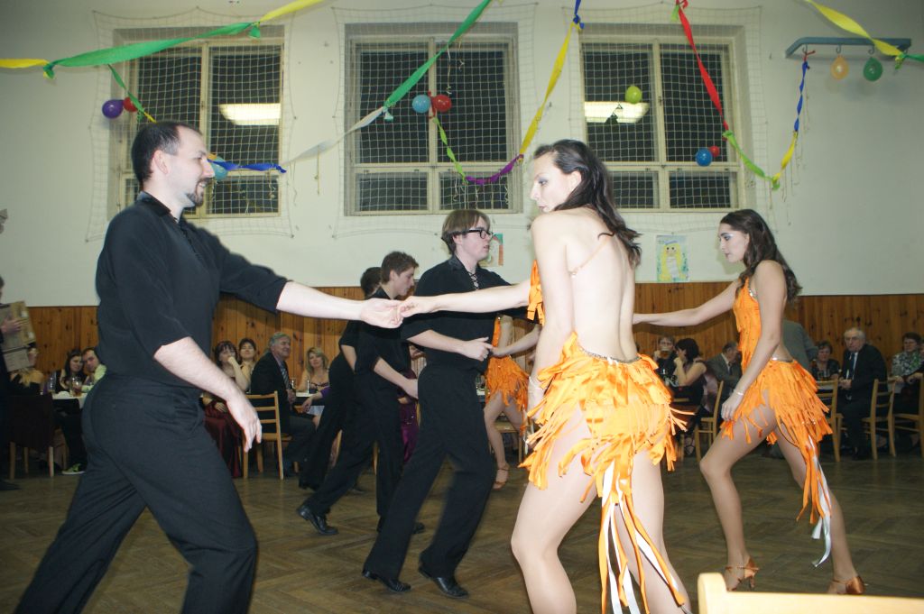 XX. ples SDH, 2.2.2013 (19)
