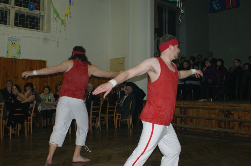 XX. ples SDH, 2.2.2013 (20)