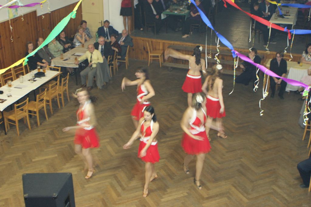 XX. ples SDH, 2.2.2013 (22)