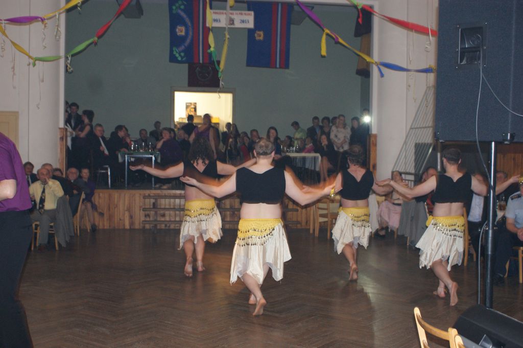 XX. ples SDH, 2.2.2013 (23)